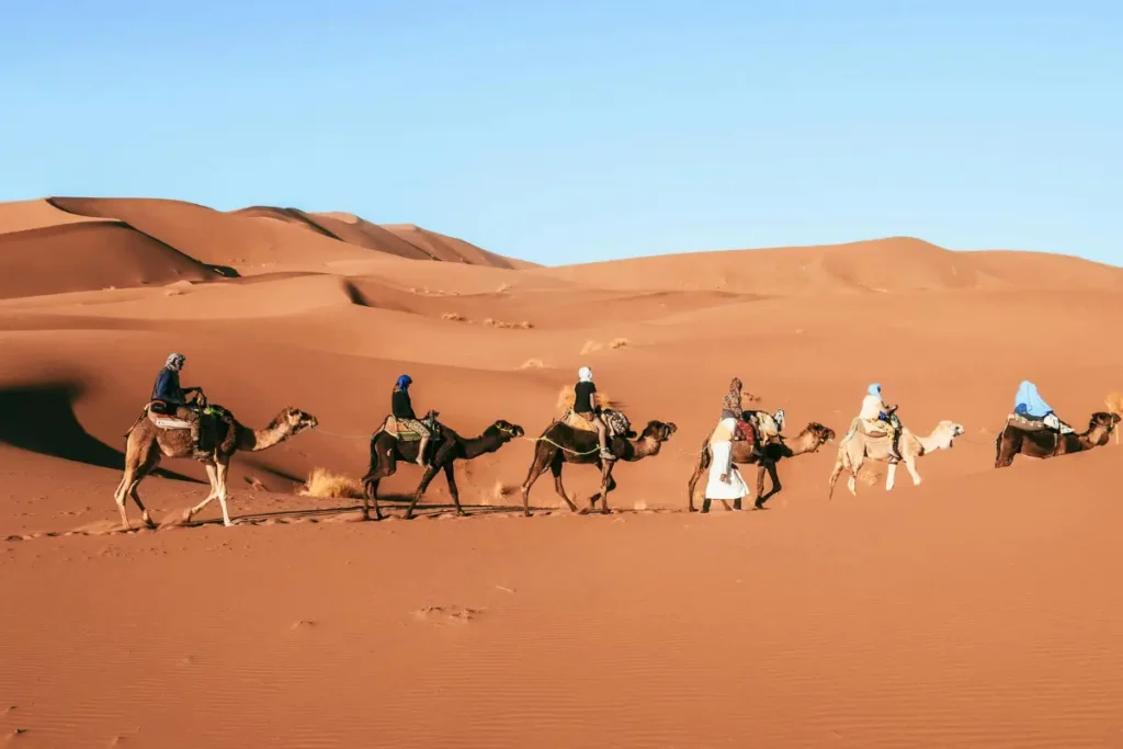 Golden dunes of the Moroccan Sahara at sunset, with a group of travelers riding camels through the desert landscape.